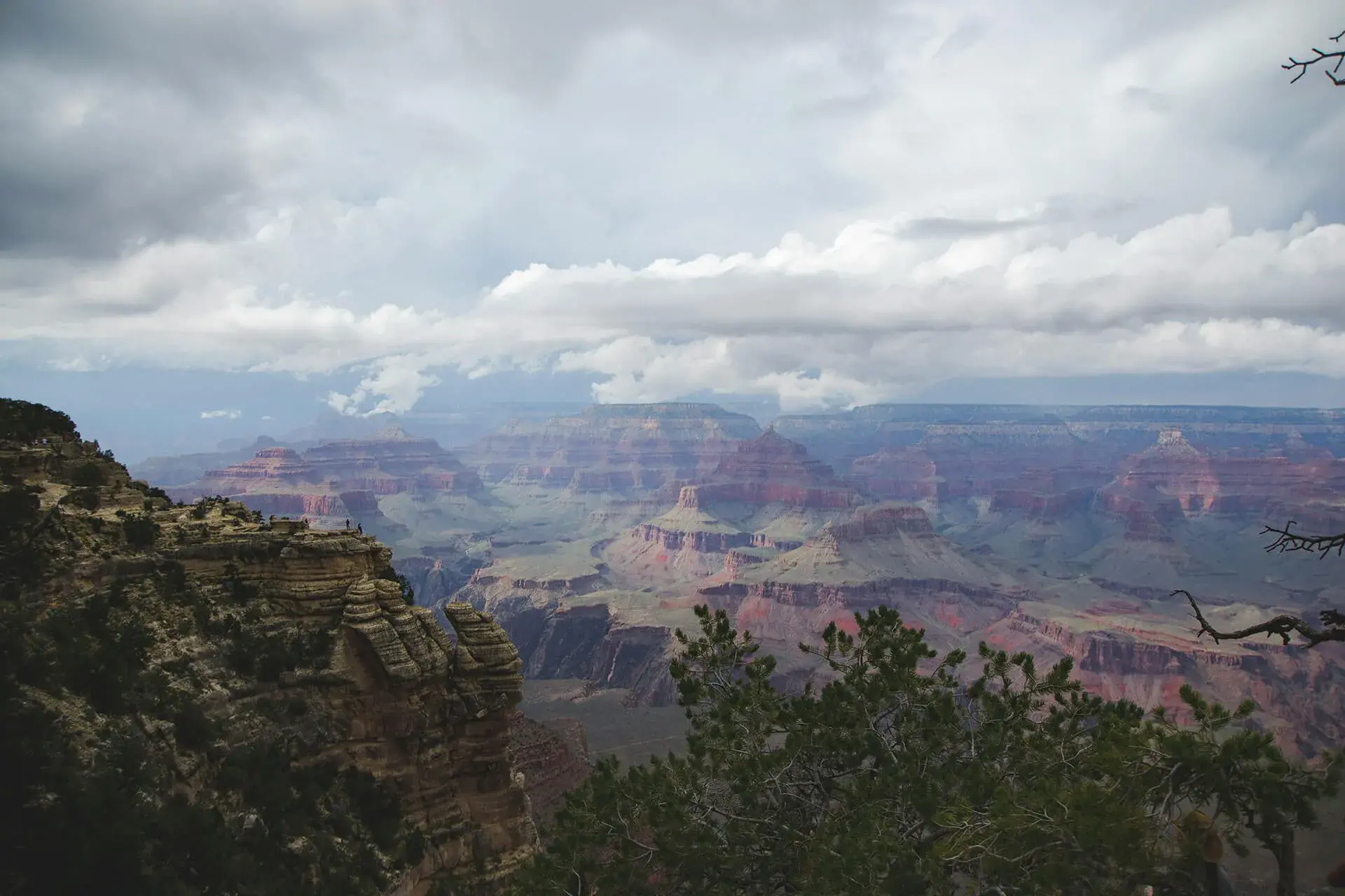 Cloudy sky over the Grand Canyon with layered rock formations and foreground vegetation.